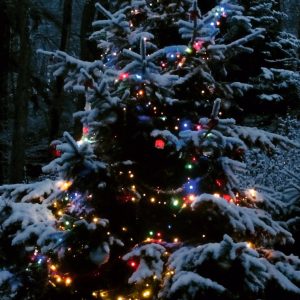Xmas Xmas